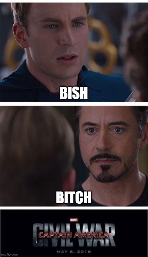 So random | BISH; BITCH | image tagged in memes,marvel civil war 1 | made w/ Imgflip meme maker