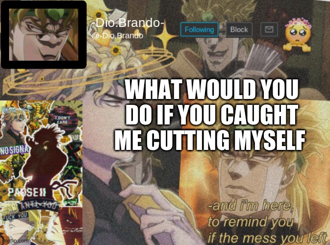 WWYD? | WHAT WOULD YOU DO IF YOU CAUGHT ME CUTTING MYSELF | image tagged in dio temp 2 | made w/ Imgflip meme maker