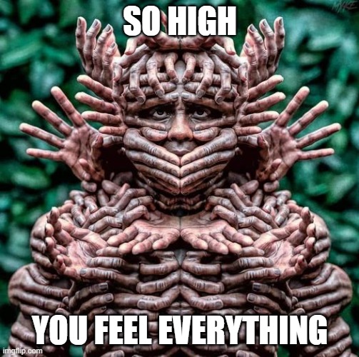 so high | SO HIGH; YOU FEEL EVERYTHING | image tagged in high,really high,very high | made w/ Imgflip meme maker