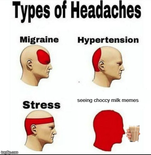 Types of Headaches meme | seeing choccy milk memes | image tagged in types of headaches meme | made w/ Imgflip meme maker