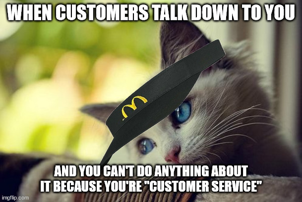 And We Were Taught To Be Nice | WHEN CUSTOMERS TALK DOWN TO YOU; AND YOU CAN'T DO ANYTHING ABOUT IT BECAUSE YOU'RE "CUSTOMER SERVICE" | image tagged in memes,first world problems cat,mcdonalds,first world problems,customer service,customer | made w/ Imgflip meme maker
