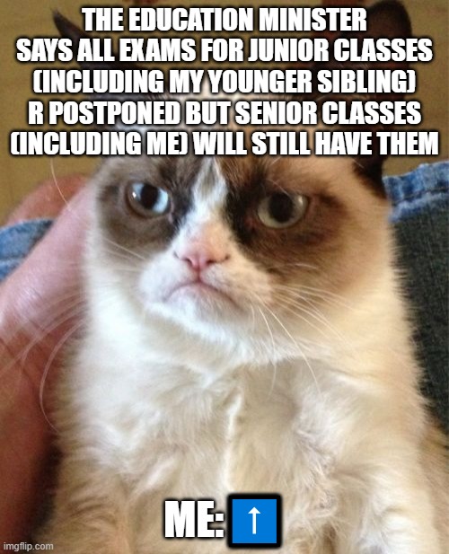 Grumpy Cat | THE EDUCATION MINISTER SAYS ALL EXAMS FOR JUNIOR CLASSES (INCLUDING MY YOUNGER SIBLING) R POSTPONED BUT SENIOR CLASSES (INCLUDING ME) WILL STILL HAVE THEM; ME:⬆️ | image tagged in memes,grumpy cat | made w/ Imgflip meme maker