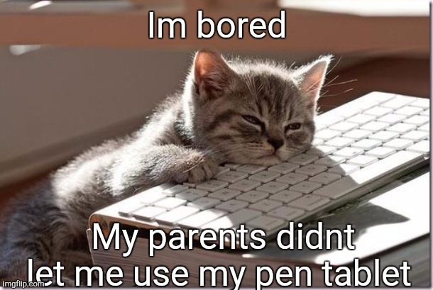 Wanna go rob the bank? | Im bored; My parents didnt let me use my pen tablet | image tagged in bored keyboard cat | made w/ Imgflip meme maker