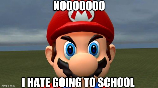 I See You Guys Later | NOOOOOOO; I HATE GOING TO SCHOOL | image tagged in angry mario | made w/ Imgflip meme maker