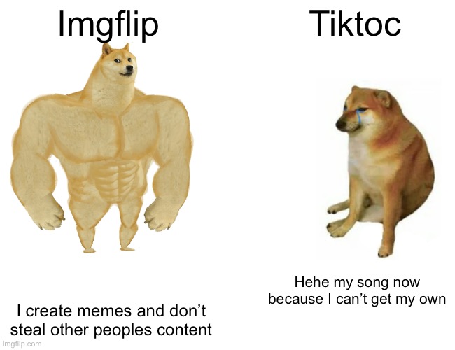 Buff Doge vs. Cheems | Imgflip; Tiktoc; Hehe my song now because I can’t get my own; I create memes and don’t steal other peoples content | image tagged in memes,buff doge vs cheems | made w/ Imgflip meme maker