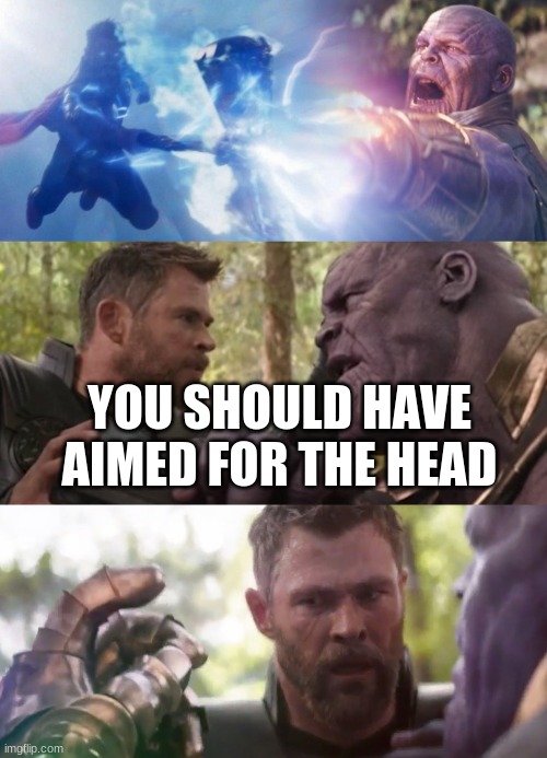 Aim for the Head | YOU SHOULD HAVE AIMED FOR THE HEAD | image tagged in aim for the head | made w/ Imgflip meme maker