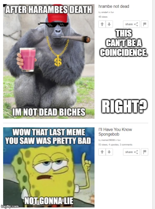surely not. | THIS CAN'T BE A COINCIDENCE. RIGHT? | image tagged in weird | made w/ Imgflip meme maker