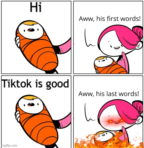 Yeet | Hi; Tiktok is good | image tagged in aww his last words | made w/ Imgflip meme maker