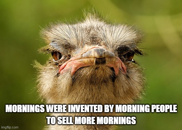 grumpy morning |  MORNINGS WERE INVENTED BY MORNING PEOPLE; TO SELL MORE MORNINGS | image tagged in morning,mornings,grumpy,ostrich | made w/ Imgflip meme maker