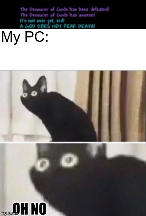 All my Calamity players should get this | My PC:; OH NO | image tagged in oh no black cat | made w/ Imgflip meme maker
