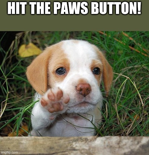 dog puppy bye | HIT THE PAWS BUTTON! | image tagged in dog puppy bye | made w/ Imgflip meme maker