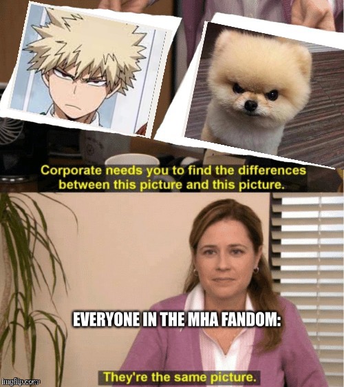 I mean I do have a point right? | EVERYONE IN THE MHA FANDOM: | image tagged in they re the same thing | made w/ Imgflip meme maker