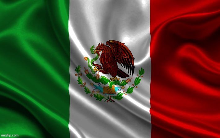 Mexican flag | image tagged in mexican flag | made w/ Imgflip meme maker