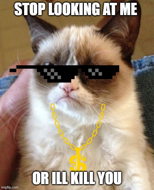 Grumpy Cat | STOP LOOKING AT ME; OR ILL KILL YOU | image tagged in memes,grumpy cat | made w/ Imgflip meme maker
