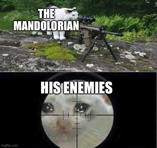 Sniper cat |  THE MANDOLORIAN; HIS ENEMIES | image tagged in sniper cat | made w/ Imgflip meme maker