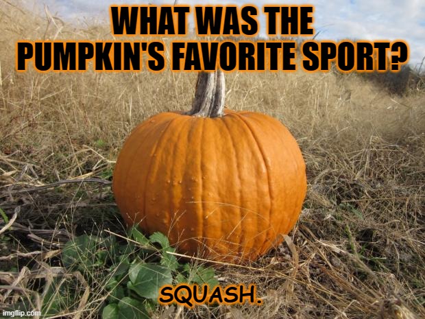 Daily Bad Dad Joke March 11 2021 | WHAT WAS THE PUMPKIN'S FAVORITE SPORT? SQUASH. | image tagged in pumpkin | made w/ Imgflip meme maker