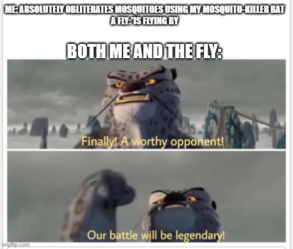 Um................................... | ME: ABSOLUTELY OBLITERATES MOSQUITOES USING MY MOSQUITO-KILLER BAT
A FLY:*IS FLYING BY; BOTH ME AND THE FLY: | image tagged in finally a worthy opponent | made w/ Imgflip meme maker