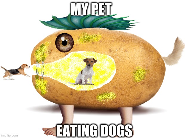 ??? | MY PET; EATING DOGS | image tagged in dog | made w/ Imgflip meme maker