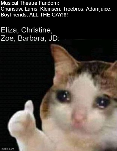 The straights and the gays in theatre | Musical Theatre Fandom: Chansaw, Lams, Kleinsen, Treebros, Adamjuice,
Boyf riends, ALL THE GAY!!!! Eliza, Christine, Zoe, Barbara, JD: | image tagged in sad thumbs up cat,musical theatre,musicals | made w/ Imgflip meme maker