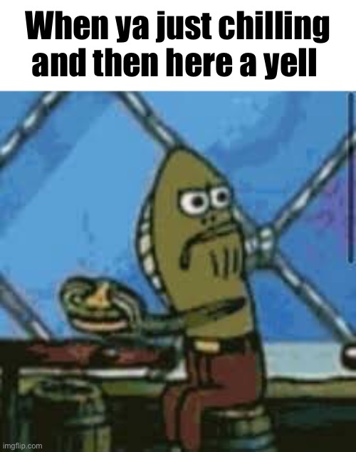 Dank meme |  When ya just chilling and then here a yell | image tagged in funny | made w/ Imgflip meme maker