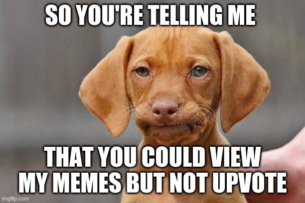 why bruh | SO YOU'RE TELLING ME; THAT YOU COULD VIEW MY MEMES BUT NOT UPVOTE | image tagged in dissapointed puppy | made w/ Imgflip meme maker