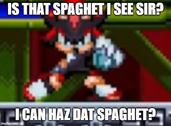 Shadow's Spaghet | IS THAT SPAGHET I SEE SIR? I CAN HAZ DAT SPAGHET? | image tagged in shadow the hedgehog | made w/ Imgflip meme maker