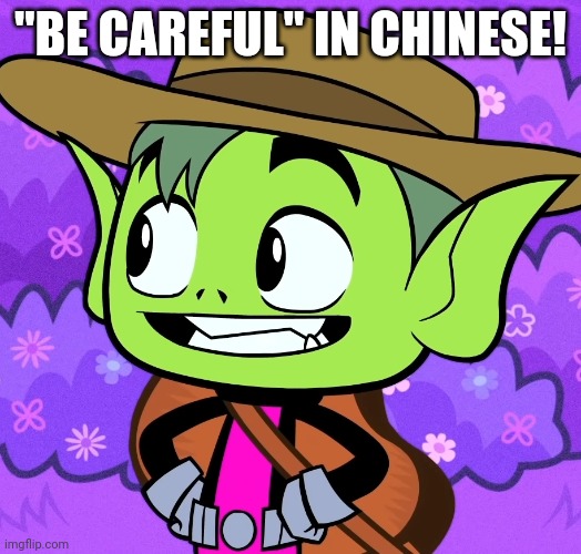 Cowboy Beast Boy (TTG) | "BE CAREFUL" IN CHINESE! | image tagged in cowboy beast boy ttg | made w/ Imgflip meme maker