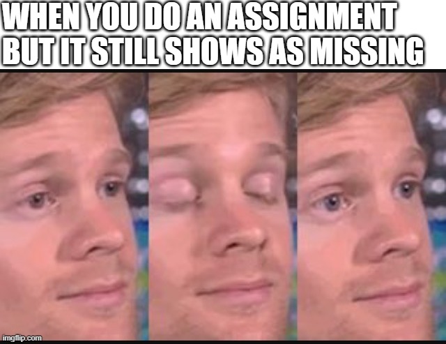 Blinking guy | WHEN YOU DO AN ASSIGNMENT BUT IT STILL SHOWS AS MISSING | image tagged in blinking guy | made w/ Imgflip meme maker