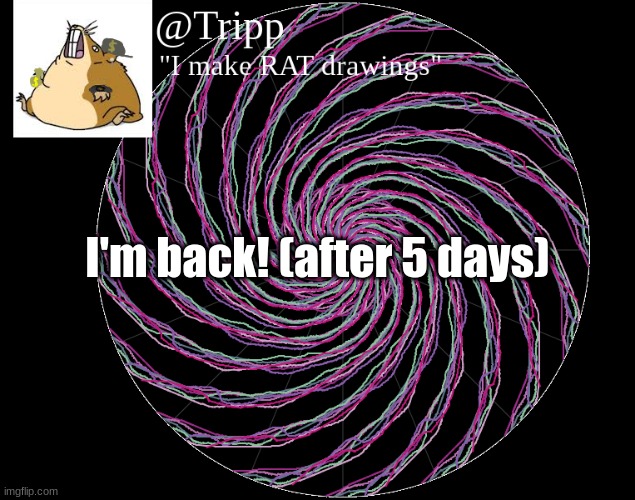 im cool again ? | I'm back! (after 5 days) | image tagged in im back,teehee | made w/ Imgflip meme maker