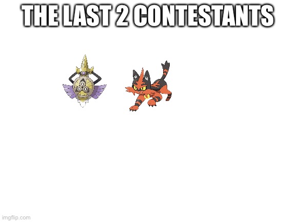 Blank White Template |  THE LAST 2 CONTESTANTS | image tagged in blank white template | made w/ Imgflip meme maker