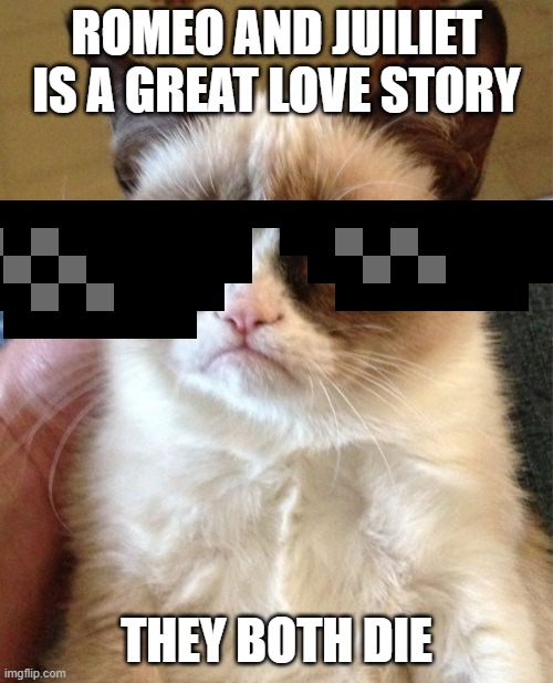 Grumpy Cat | ROMEO AND JUILIET IS A GREAT LOVE STORY; THEY BOTH DIE | image tagged in memes,grumpy cat | made w/ Imgflip meme maker