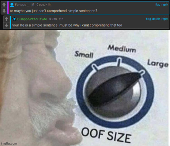 image tagged in oof size large | made w/ Imgflip meme maker