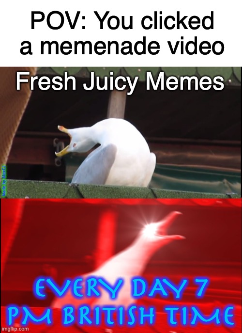 When mom lets you keep the change | POV: You clicked a memenade video; Fresh Juicy Memes; Made by AlexCJ; EVERY DAY 7 PM BRITISH TIME | image tagged in screaming bird,memenade,pov,scream,relatable,memes | made w/ Imgflip meme maker