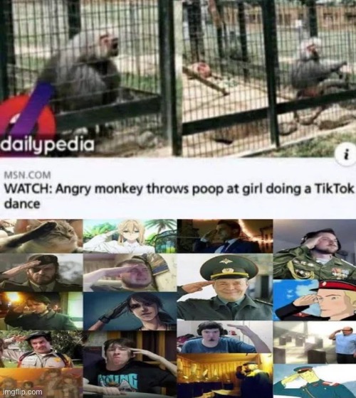 good monke | image tagged in yes,ticktrash | made w/ Imgflip meme maker