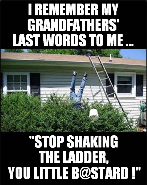Last Words ! | I REMEMBER MY GRANDFATHERS' LAST WORDS TO ME ... "STOP SHAKING THE LADDER, YOU LITTLE B@STARD !" | image tagged in last words,ladders,falling down,dark humour | made w/ Imgflip meme maker