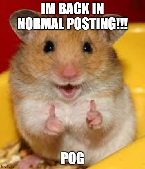 im back to normal posting lol | IM BACK IN NORMAL POSTING!!! POG | image tagged in thumbs up hamster | made w/ Imgflip meme maker