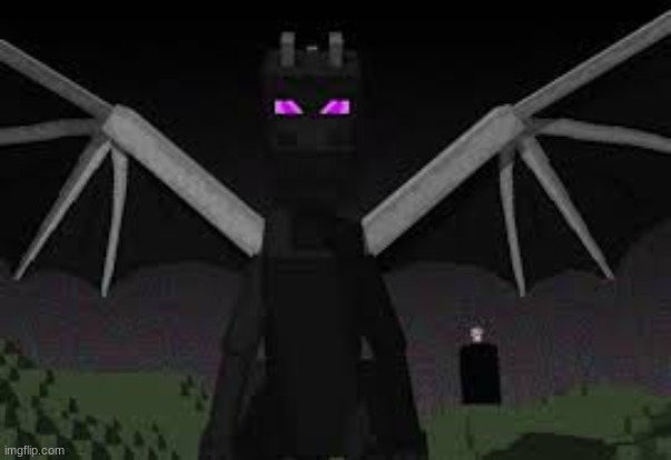 Ender dragon | image tagged in ender dragon | made w/ Imgflip meme maker