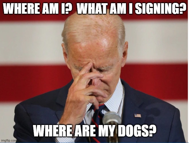 Cognitive decline. | WHERE AM I?  WHAT AM I SIGNING? WHERE ARE MY DOGS? | image tagged in joe biden worries | made w/ Imgflip meme maker