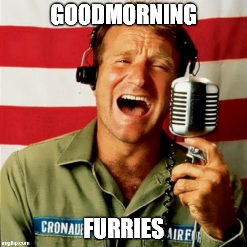 woke up in the mornin' travelin' straight into the sun | GOODMORNING; FURRIES | image tagged in good morning vietnam | made w/ Imgflip meme maker