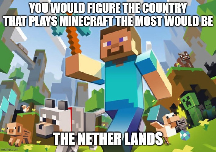 Minecraft  | YOU WOULD FIGURE THE COUNTRY THAT PLAYS MINECRAFT THE MOST WOULD BE; THE NETHER LANDS | image tagged in minecraft | made w/ Imgflip meme maker