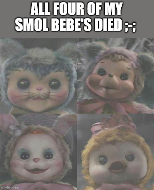 rip little ones ;-; press f in the chat ;-; | ALL FOUR OF MY SMOL BEBE'S DIED ;-; | made w/ Imgflip meme maker