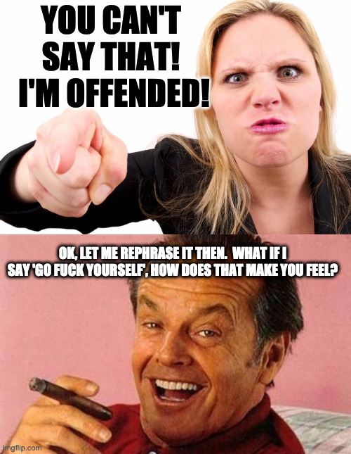 YOU CAN'T SAY THAT!  I'M OFFENDED! OK, LET ME REPHRASE IT THEN.  WHAT IF I SAY 'GO FUCK YOURSELF', HOW DOES THAT MAKE YOU FEEL? | image tagged in offended woman,if my jokes offended you | made w/ Imgflip meme maker