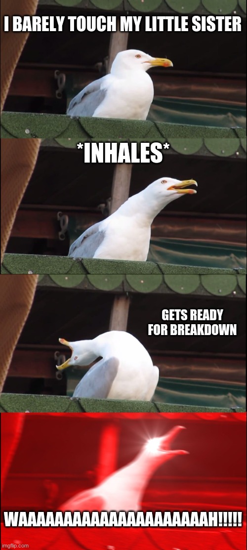 Inhaling Seagull | I BARELY TOUCH MY LITTLE SISTER; *INHALES*; GETS READY FOR BREAKDOWN; WAAAAAAAAAAAAAAAAAAAAAH!!!!! | image tagged in memes,inhaling seagull | made w/ Imgflip meme maker