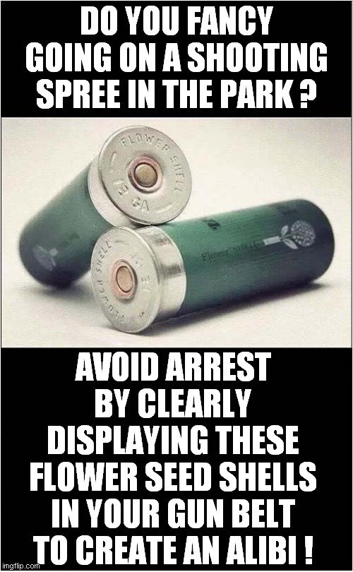 Plant 'em Deep Shells ? | DO YOU FANCY GOING ON A SHOOTING SPREE IN THE PARK ? AVOID ARREST BY CLEARLY DISPLAYING THESE FLOWER SEED SHELLS IN YOUR GUN BELT TO CREATE AN ALIBI ! | image tagged in shooting,seeds,alibi,dark humour | made w/ Imgflip meme maker