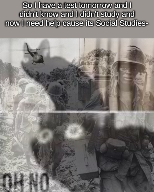 PTSD oh no cat | So I have a test tomorrow and I didn't know and I didn't study and now I need help cause its Social Studies- | image tagged in ptsd oh no cat | made w/ Imgflip meme maker