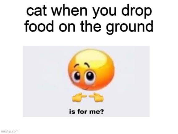 my cat be like                                                                                                                   | cat when you drop food on the ground | image tagged in funny memes,funny cats,my life,memes | made w/ Imgflip meme maker
