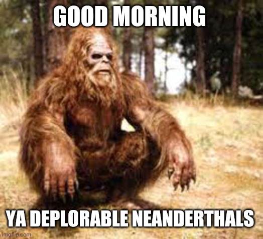 Good Morning Ya Deplorable Neanderthals | GOOD MORNING; YA DEPLORABLE NEANDERTHALS | image tagged in chillin' bigfoot | made w/ Imgflip meme maker