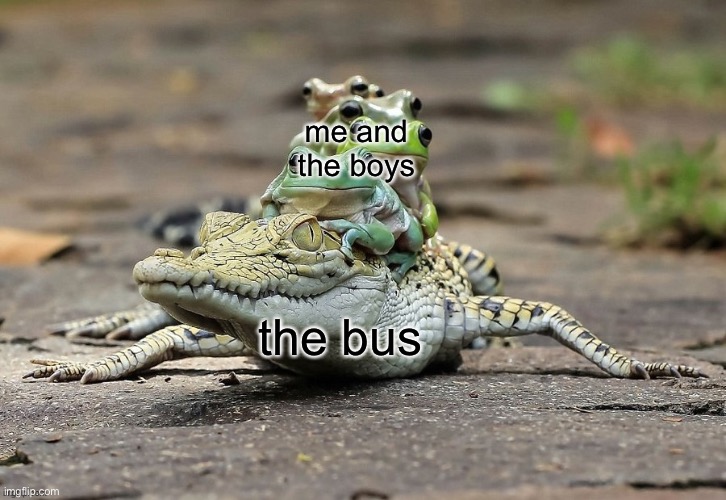 hi | me and the boys; the bus | image tagged in frog bus,new template | made w/ Imgflip meme maker