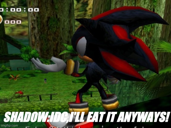 SHADOW:IDC,I'LL EAT IT ANYWAYS! | made w/ Imgflip meme maker