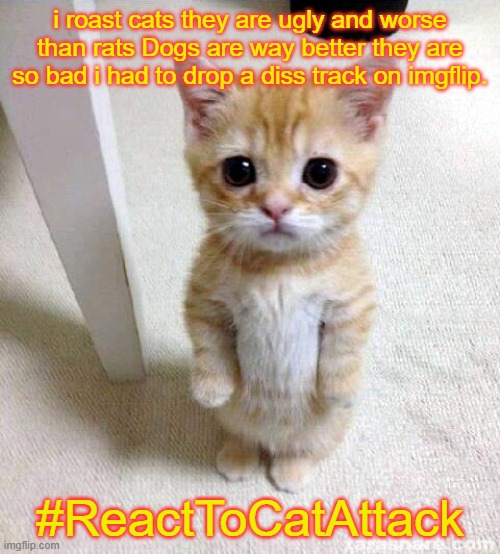 Cute Cat Meme | i roast cats they are ugly and worse than rats Dogs are way better they are so bad i had to drop a diss track on imgflip. #ReactToCatAttack | image tagged in memes,cute cat | made w/ Imgflip meme maker